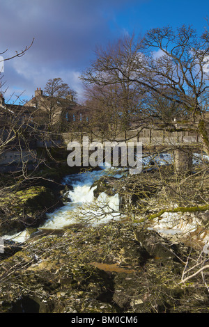 Linton Falls, River Wharfe, North Yorkshire Dales, England Stock Photo