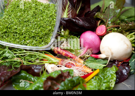 Vegetables  from Community Supported Agriculture (CSA)farm,  Trappe MD Stock Photo