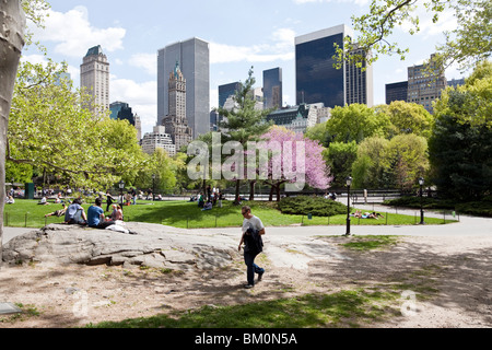 people enjoy sunshine grass trees cherry blossoms & incomparable view of Midtown Manhattan skyline on a spring day Central Park Stock Photo