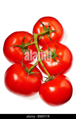 tomatoes isolated on a pure white background Stock Photo