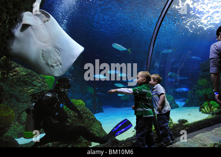 Aquarium tunnel tank, Denver, Colorado Stock Photo