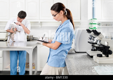 Male vet examining a cat while female vet writing prescription Stock Photo