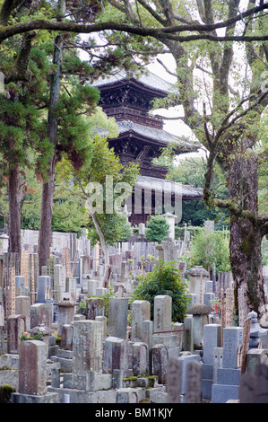 Grave stones and pagoda in a cemetery, Shinnyo do Temple, Kyoto, Japan, Asia Stock Photo