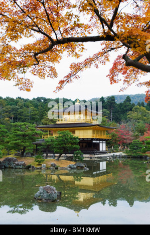 Autumn colour leaves, Golden Temple, Kinkaku ji (Kinkakuji), dating from 1397, Kyoto, Japan, Asia Stock Photo