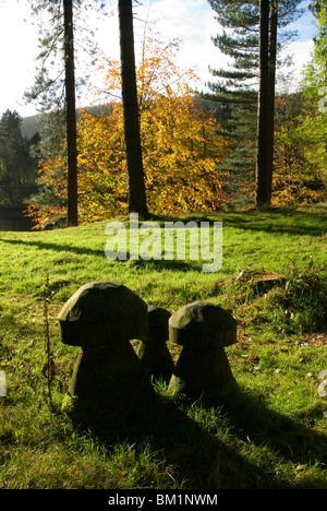 Sculpted wooden mushrooms near Fairholme visitor centre, Ladybower reservoir, Peak District, Derbyshire, England, UK Stock Photo
