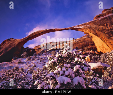 Unusual Heavy Snow at Landscape Arch on Winter Dawn  Devils Garden  Arches National Park  Utah Stock Photo
