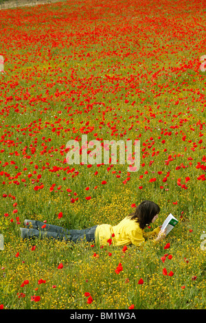Reading a book in a poppies field. Stock Photo