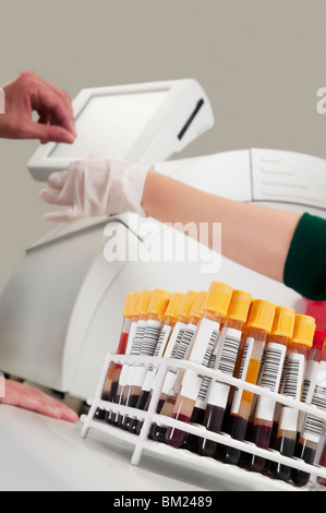 Lab technician testing a blood samples in a laboratory Stock Photo