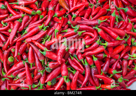 Close-up of red chilies in Nahaufnahme, Osh, Kyrgyzstan, Central Asia Stock Photo