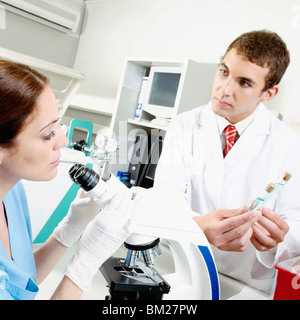 Lab technicians working in a laboratory Stock Photo