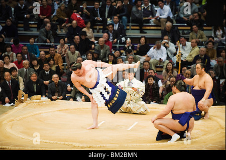 Fukuoka Sumo competition, entering the ring ceremony, Kyushu Basho, Fukuoka city, Kyushu, Japan Stock Photo