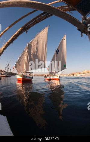 Feluccas sailing on the River Nile near Aswan, Egypt Stock Photo