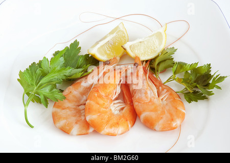 three raw prawns with lemon and parsley on a white plate Stock Photo