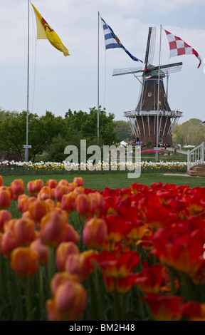 Tulip time festival Dutch Holland Michigan in USA An authentic Dutch windmill De Zwaan in Spring in Windmill Island during a trade fair hi-res Stock Photo