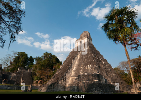 Temple I known also as temple of the Giant Jaguar, Tikal mayan archaeological site, Guatemala. Stock Photo