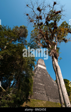 Temple I known also as temple of the Giant Jaguar, Tikal mayan archaeological site, Guatemala. Stock Photo