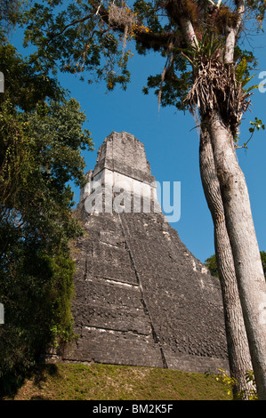 Temple I known also as temple of the Giant Jaguar, Tikal mayan archaeological site, Guatemala. Stock Photo