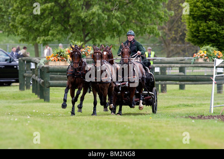 A competitor in the cross country carriage event at the Royal Windsor Horse Show in the grounds of Windsor Castle Stock Photo