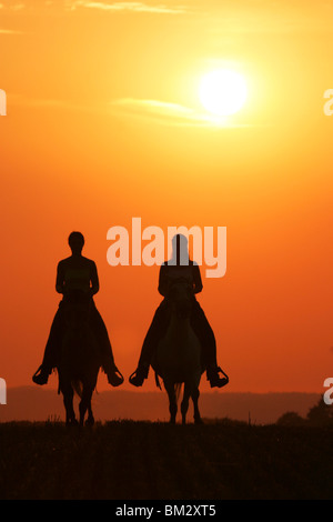 Reiter im Sonnenuntergang / horsewoman in the sundown Stock Photo