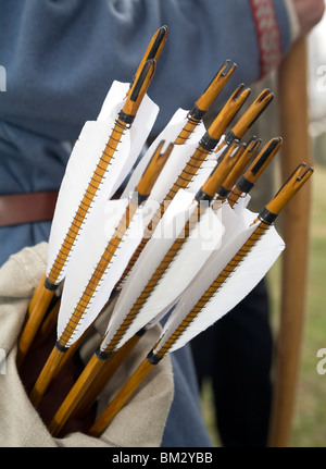 Arrows in quiver with only nocks and feather fletching out. Stock Photo