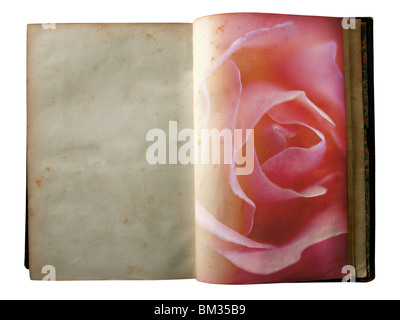 Rose printed on the pages of an open aged old book Stock Photo