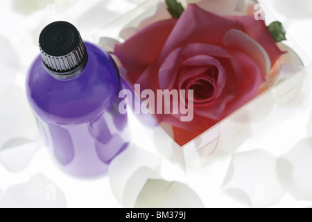 Bottle of aromatherapy oil and box of rose petals, white background Stock Photo