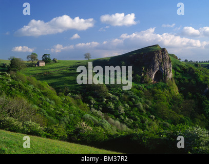 Summer evening view of Thor's Cave in the Manifold Valley, Peak District National Park, Staffordshire. Stock Photo