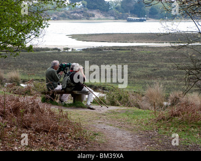 Couple birdwatching at Arne Nature Reserve, Dorset, UK Stock Photo