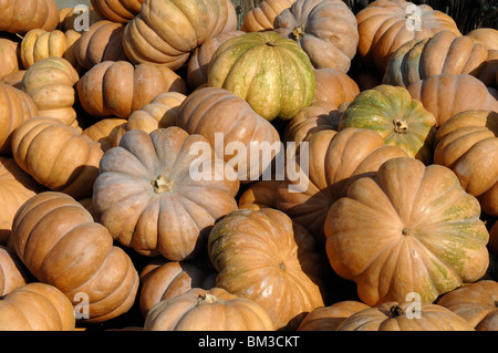 Pumpkin Pile or Display of Pumpkins for Sale on Market Stall, Rians, Var Département, Provence, France Stock Photo