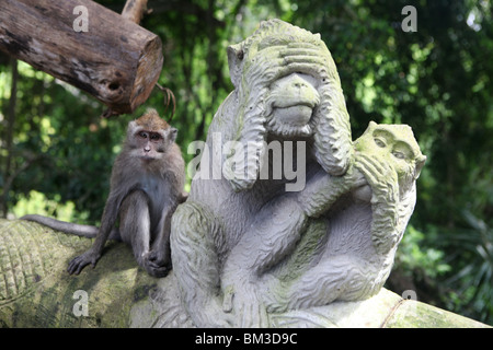 Long Tailed Macaque monkey by a monkey statue in the sacred Monkey Forest Ubud, Bali, Indonesia. Stock Photo