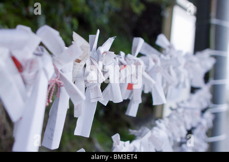 Omikuji messages at a Japanese Shinto Shrine, Asia. Stock Photo