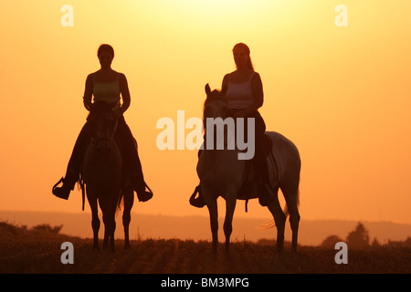 Reiter im Sonnenuntergang / horsewoman in the sundown Stock Photo