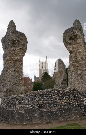 Abbey Gardens, Bury St. Edmunds, Suffolk, UK Stock Photo