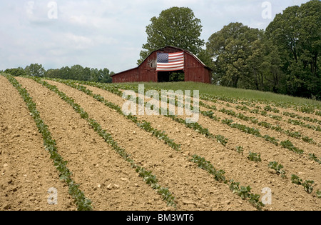 Barn with oversize American flag in the Cumberland region of Tennessee Stock Photo