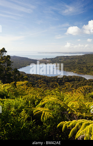 View of the Waitakere Ranges Regional Park from Arataki Visitors Centre. Waitakere Ranges, Auckland, North Island, New Zealand Stock Photo