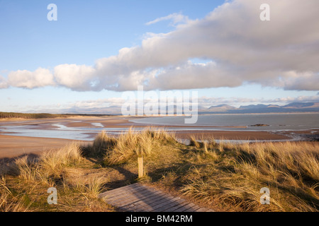 Footpath boardwalk on Marram grass sand dunes on Llanddwyn Island National Nature Reserve. Newborough, Anglesey, North Wales, UK Stock Photo