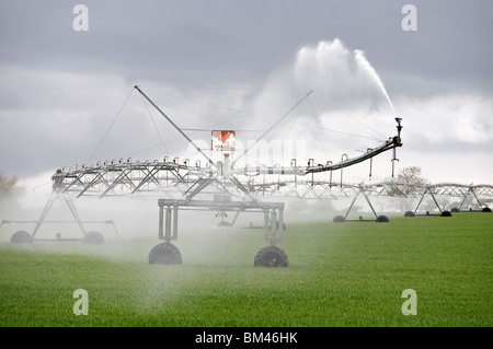 Valley precision center-pivot irrigation system, watering a wheat crop, Hollesley, Suffolk, UK. Stock Photo