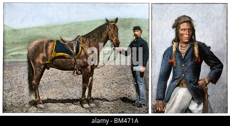 Horse 'Comanche' and Custer's scout Curley, the only US Army survivors of the Battle of Little Bighorn, 1876. Hand-colored halftone of 2 photographs Stock Photo