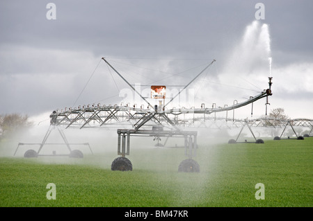 Valley precision center-pivot irrigation system, watering a wheat crop, Hollesley, Suffolk, UK. Stock Photo