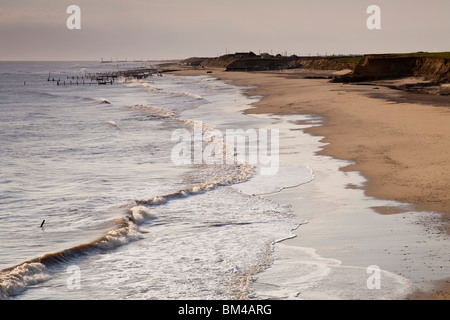 Evidence of coastal erosion near Happisburgh Norfolk Stock Photo - Alamy