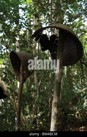 A Japanese and Australian helmet along the Kokoda Trail, Papua New Guinea Stock Photo