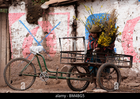 Old Quechua Indian woman selling flowers in street, 'Sacred Valley', Peru, 'South America' Stock Photo