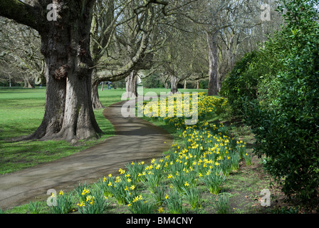 Spring in Henrietta Park Bath Spa, Somerset England UK Stock Photo