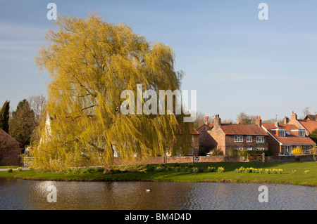 Village pond at Nun Monkton, North Yorkshire. Stock Photo