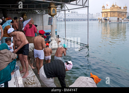 Sikh devotees bathing in the sacred pool. The Golden Temple. Amritsar. Punjab. India Stock Photo