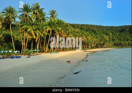 Ko Kood Coconut Beach Stock Photo