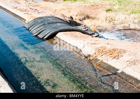 an irrigation canal and siphon tubes used to water a field in Arizona Stock Photo