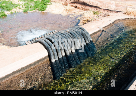 an irrigation canal and siphon tubes used to water a field in Arizona Stock Photo