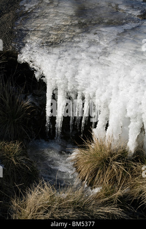 Icicles formed over a small stream by a footpath on Kinder Scout near Kinder Downfall in winter Derbyshire England Stock Photo