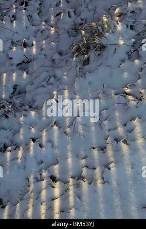 A traditional garden fence casts long shadows over snow in the low winter sun in Finland Stock Photo